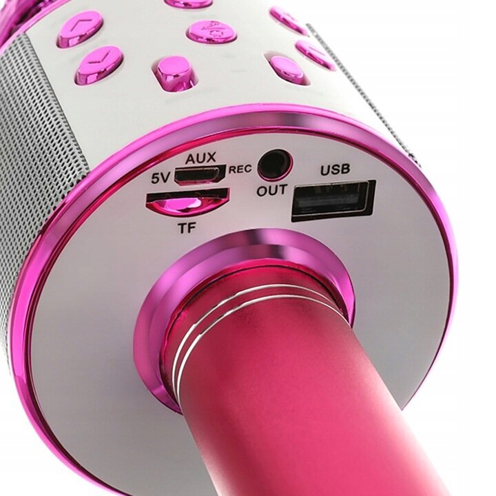 Vaikiškas karaoke mikrofonas su garsiakalbiu, rožinis kaina ir informacija | Lavinamieji žaislai | pigu.lt