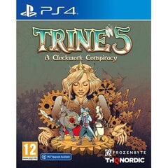 PS4 Trine 5: A Clockwork Conspiracy цена и информация | Компьютерные игры | pigu.lt