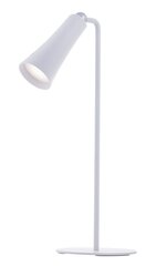 Activejet Multifunctional lamp AJE-IDA 4IN1 kaina ir informacija | Staliniai šviestuvai | pigu.lt