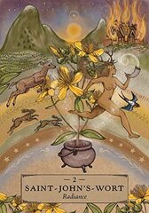 Taro kortos Herbal Astrology Oracle Hay House цена и информация | Эзотерика | pigu.lt