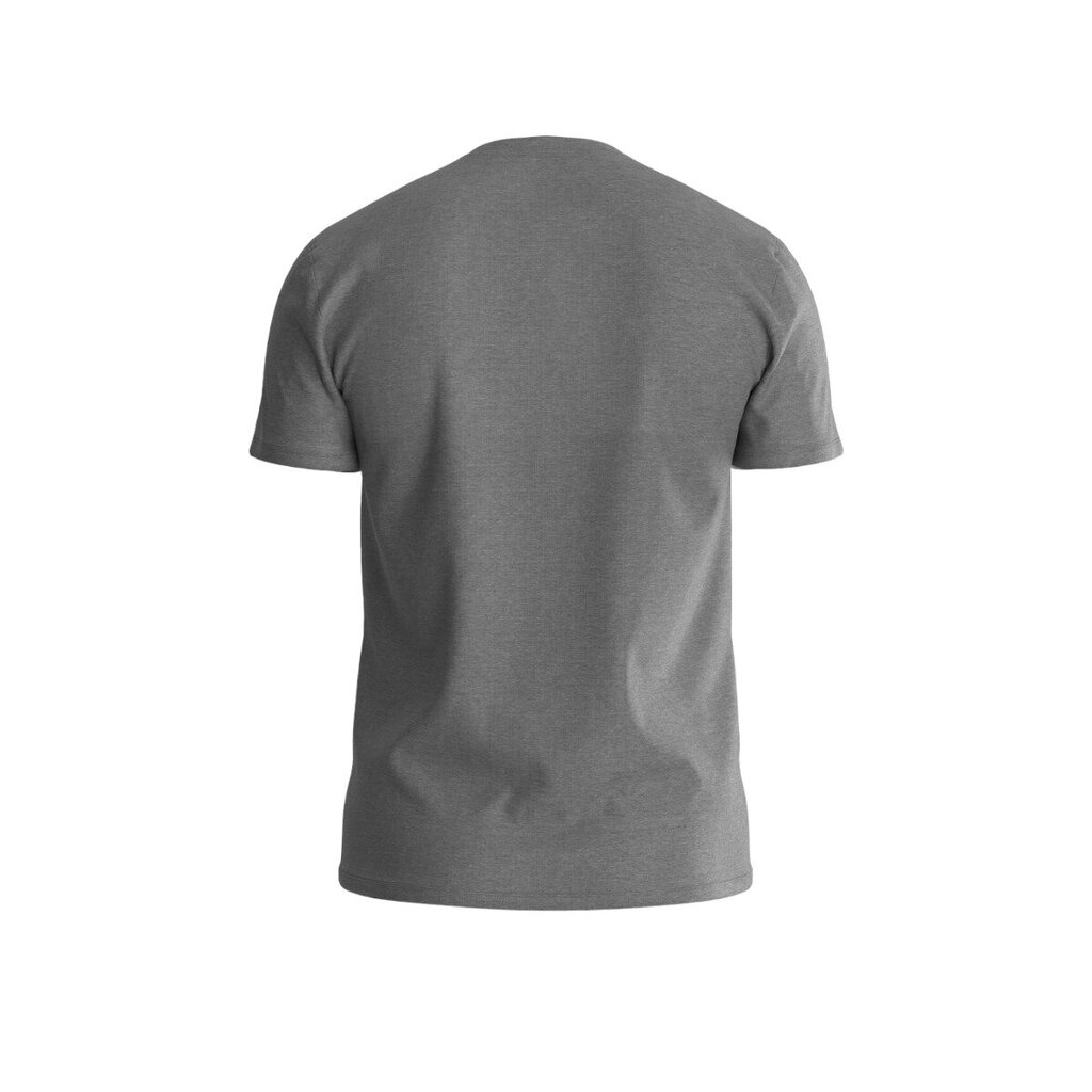 Marškinėliai vyrams Guess 81942, pilki kaina ir informacija | Vyriški marškinėliai | pigu.lt
