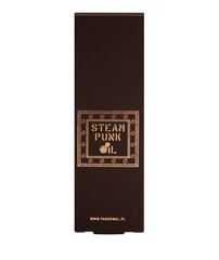 Barzdos aliejus Pan Drwal Steam Punk, 50 ml kaina ir informacija | Skutimosi priemonės ir kosmetika | pigu.lt
