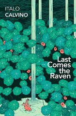 Last Comes the Raven kaina ir informacija | Fantastinės, mistinės knygos | pigu.lt