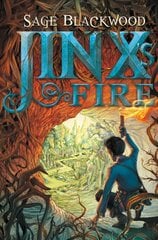 Jinx's Fire цена и информация | Книги для подростков и молодежи | pigu.lt