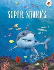 SUPER SHARKS: Shark Safari STEM цена и информация | Книги для подростков  | pigu.lt