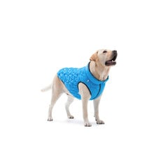 Куртка для собаки AiryVest, разные размеры, синий цвет цена и информация | Одежда для собак | pigu.lt
