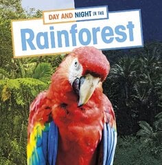 Day and Night in the Rainforest цена и информация | Книги для подростков и молодежи | pigu.lt