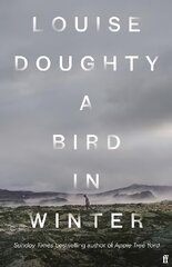 Bird in Winter: 'Nail-bitingly tense and compelling' Paula Hawkins Export - Airside ed kaina ir informacija | Fantastinės, mistinės knygos | pigu.lt