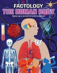 Human Body: Open Up a World of Information! kaina ir informacija | Knygos paaugliams ir jaunimui | pigu.lt