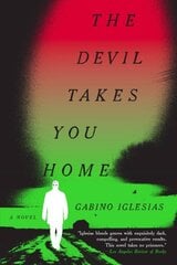 Devil Takes You Home цена и информация | Фантастика, фэнтези | pigu.lt