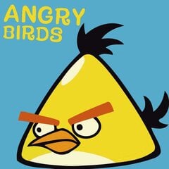 Tapyba pagal skaičius Angry Birds, 20x20 cm kaina ir informacija | Tapyba pagal skaičius | pigu.lt