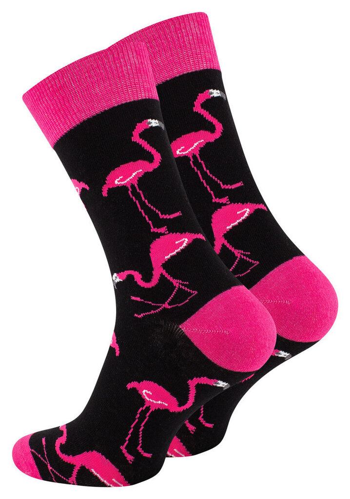 Kojinės unisex Vincent Creation Flamingas 2185, žalios/mėlynos kaina ir informacija | Vyriškos kojinės | pigu.lt