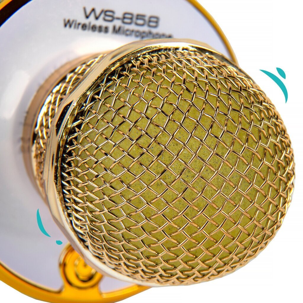 Karaokė mikrofonas su balso keitimo efektais WS-858 kaina ir informacija | Lavinamieji žaislai | pigu.lt
