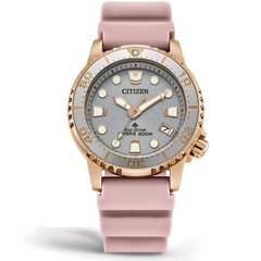 Citizen Eco-Drive EO2023-00A EO2023-00A цена и информация | Женские часы | pigu.lt