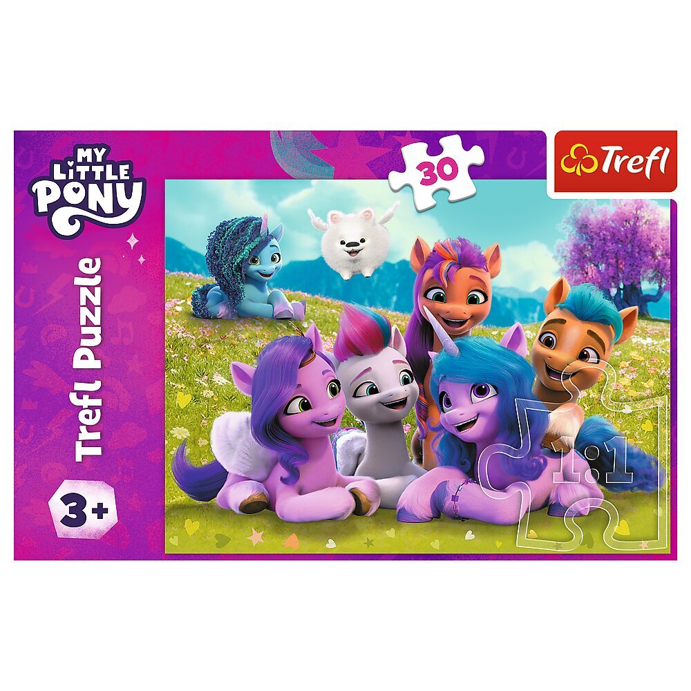 Пазл Trefl My Little Pony, 30 д. цена | pigu.lt