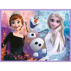 Игра-головоломка Trefl Frozen (Холодное сердце 2), 78 д. цена и информация | Пазлы | pigu.lt