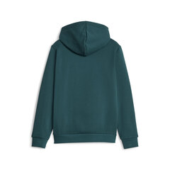 Puma Джемпер Ess + 2 Col Big Logo Green 586987 75 586987 75/152 цена и информация | Свитеры, жилетки, пиджаки для мальчиков | pigu.lt