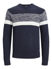 Jack&Jones megztinis berniukams 12236760*01, mėlynas kaina ir informacija | Megztiniai, bluzonai, švarkai berniukams | pigu.lt