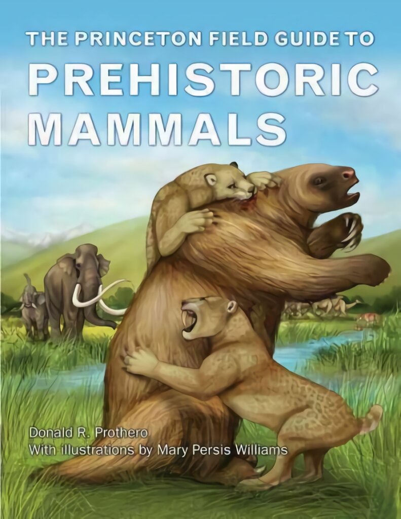 Princeton Field Guide to Prehistoric Mammals kaina ir informacija | Ekonomikos knygos | pigu.lt