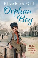 Orphan Boy цена и информация | Фантастика, фэнтези | pigu.lt