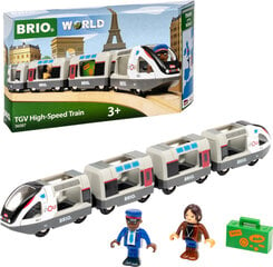 Keleivinis traukinys Brio 36087 цена и информация | Игрушки для мальчиков | pigu.lt