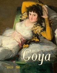 Francisco de Goya цена и информация | Книги об искусстве | pigu.lt