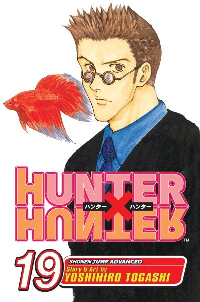 Hunter x Hunter, Vol. 19: N.G.L. illustrated edition, v. 19 цена и информация | Fantastinės, mistinės knygos | pigu.lt