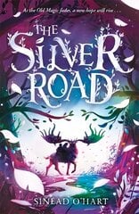Silver Road цена и информация | Книги для подростков  | pigu.lt