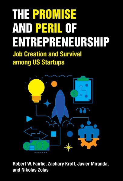 Promise and Peril of Entrepreneurship: Job Creation and Survival among US Startups kaina ir informacija | Ekonomikos knygos | pigu.lt