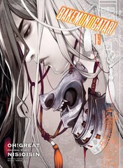 Bakemonogatari (manga) Volume 19 цена и информация | Фантастика, фэнтези | pigu.lt