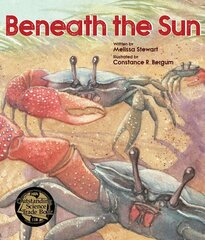 Beneath the Sun цена и информация | Книги для подростков  | pigu.lt