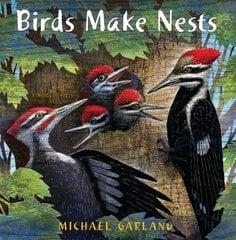 Birds Make Nests kaina ir informacija | Knygos mažiesiems | pigu.lt