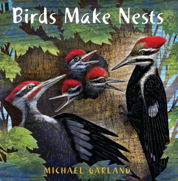Birds Make Nests kaina ir informacija | Knygos mažiesiems | pigu.lt