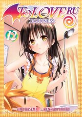 To Love Ru Darkness Vol. 12 kaina ir informacija | Fantastinės, mistinės knygos | pigu.lt