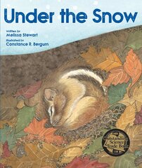 Under the Snow цена и информация | Книги для подростков  | pigu.lt