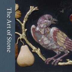 Art of Stone: Masterpieces from the Rosalinde and Arthur Gilbert Collection kaina ir informacija | Knygos apie meną | pigu.lt