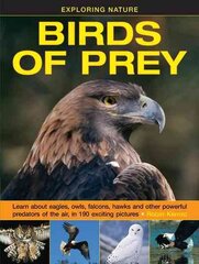 Exploring Nature: Birds of Prey цена и информация | Книги для подростков и молодежи | pigu.lt