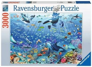 Пазл Ravenburger 3000 шт подводный мир цена и информация | Пазлы | pigu.lt