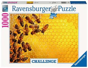 Dėlionė Ravensburger Korys, 1000 d. kaina ir informacija | Dėlionės (puzzle) | pigu.lt