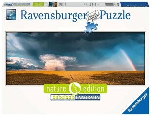 Dėlionė Ravensburger Paslaptingas portfelis, 1000 d. kaina ir informacija | Dėlionės (puzzle) | pigu.lt