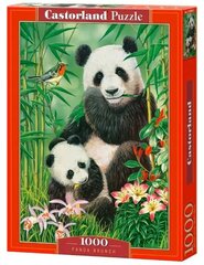 Dėlionė su pandomis Castorland Panda Brunch, 1000 d. kaina ir informacija | Dėlionės (puzzle) | pigu.lt