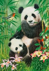 Dėlionė su pandomis Castorland Panda Brunch, 1000 d. kaina ir informacija | Dėlionės (puzzle) | pigu.lt