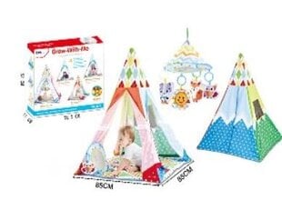 Детская палатка с каруселью и шариками, 20 шт. цена и информация | Детские игровые домики | pigu.lt