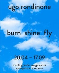 Ugo Rondinone (Bilingual edition): burn shine fly цена и информация | Книги об искусстве | pigu.lt