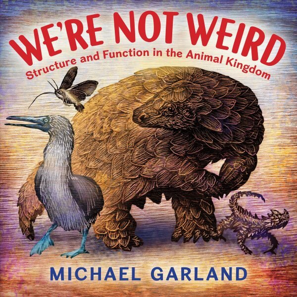 We're Not Weird: Structure and Function in the Animal Kingdom цена и информация | Knygos paaugliams ir jaunimui | pigu.lt