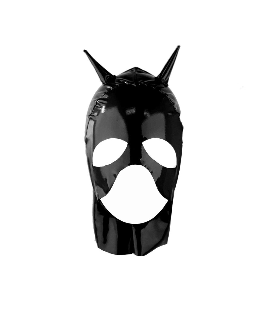 Сексуальный кожаный BDSM комбинезон Leather Panther цена | n18.pigu.lt