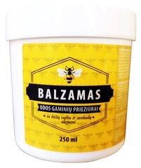 INOBIO odos gaminių balzamas, 250ml kaina ir informacija | Valikliai | pigu.lt