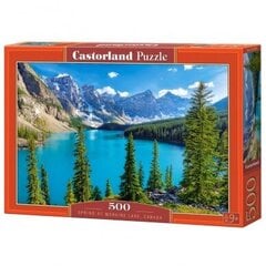 Dėlionė Castorland Moraine Lake, Canada 500 det kaina ir informacija | Dėlionės (puzzle) | pigu.lt