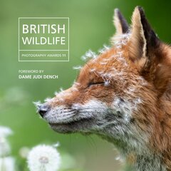 British Wildlife Photography Awards 2023 цена и информация | Книги по фотографии | pigu.lt