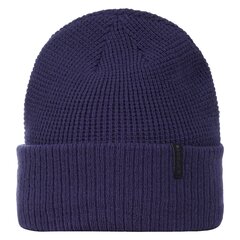 Icepeak kepurė mergaitėms Hesston 6438549177923, violetinė kaina ir informacija | Kepurės, pirštinės, šalikai berniukams | pigu.lt